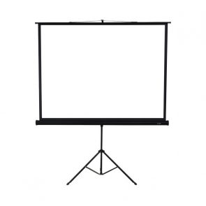 Projector Mount & Screen