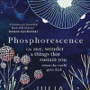 Phosphorescence - Image 2