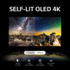 LG 55" CS3 4K OLED 120Hz Nvidia G-Sync Gaming Smart TV - Image 3